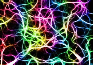 network-440738_1280